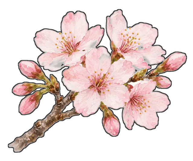 桜の枝の枠付き版