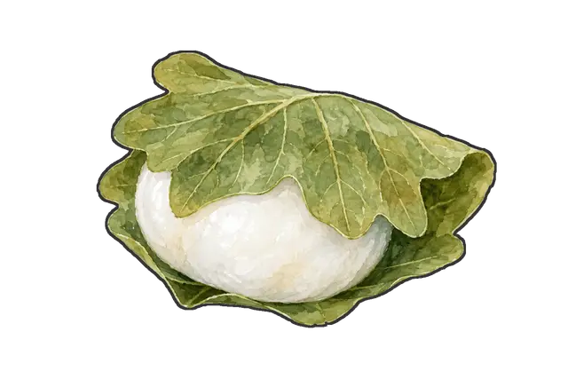 柏餅の枠付き版