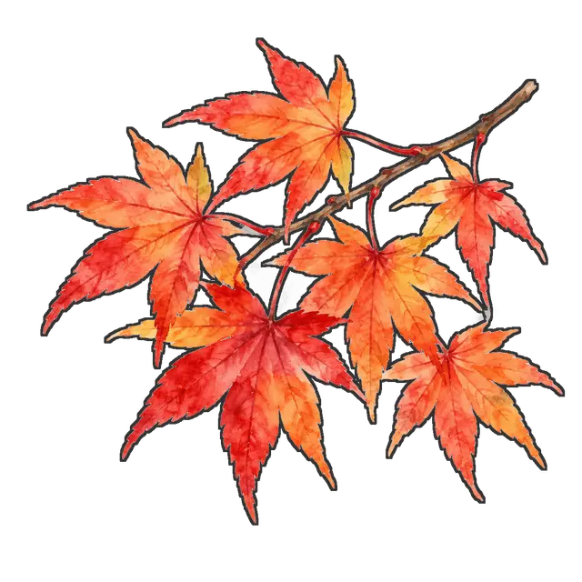 紅葉の枝の枠付き版