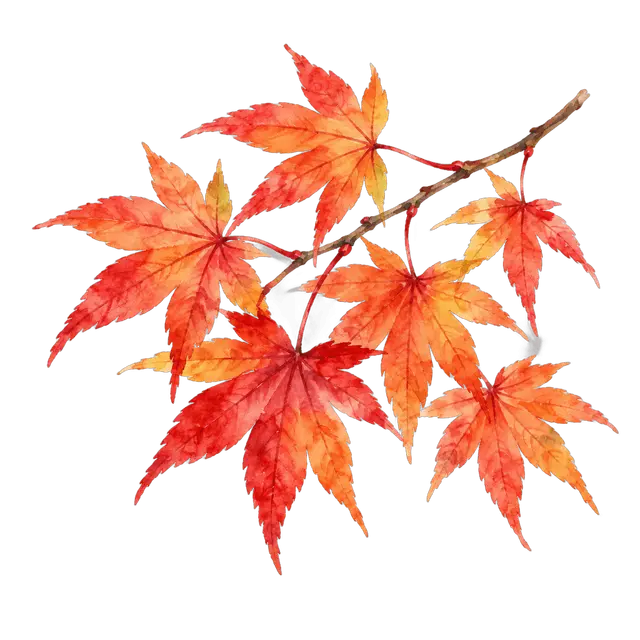 水彩の紅葉の枝