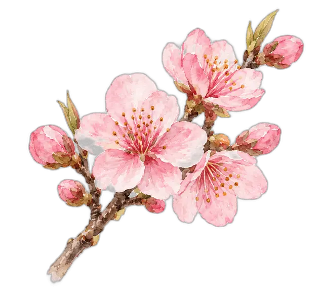 水彩の桃の花